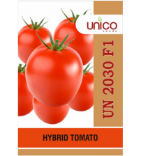 Tomato UN 2030 10 grams